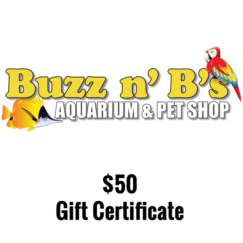 Buzz N B s Aquarium Pet Shop Radio Auction NWPA buzz-n-b-s-aquarium-pet-shop-radio-auction-nwpa